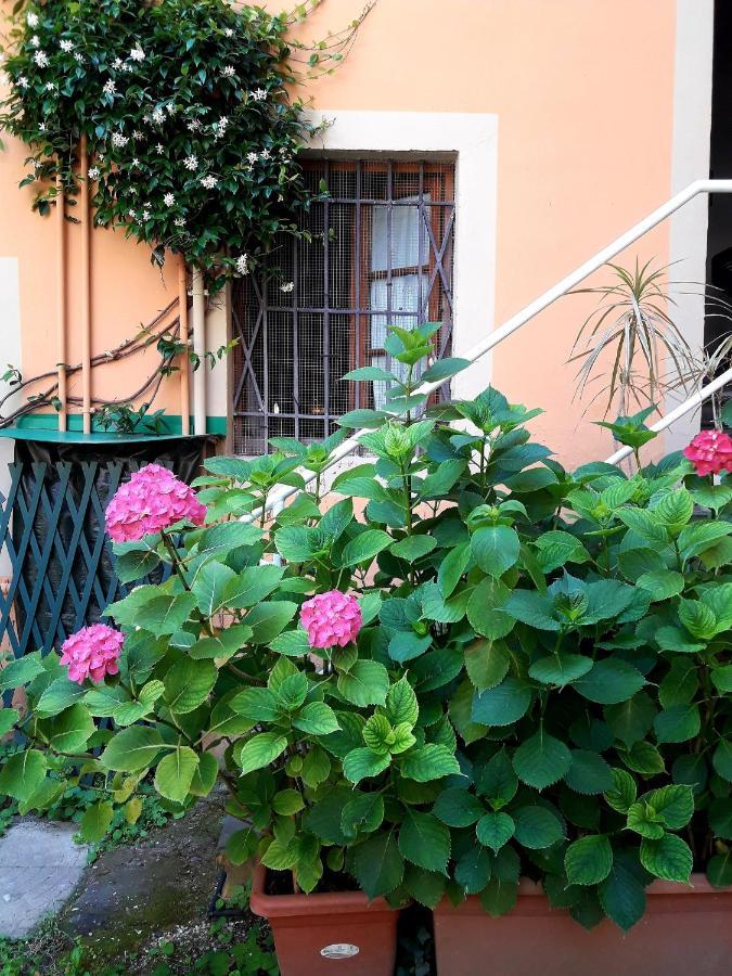 Il Campanile II Locazione Turistica Hotel Пиза Екстериор снимка